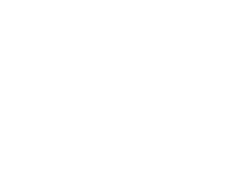 SEW Logo