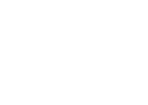 NAE Logo
