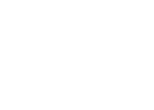 Leeson Logo